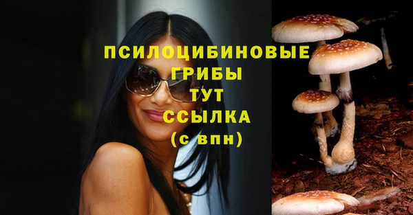ECSTASY Остров