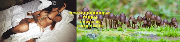 кристаллы Осташков