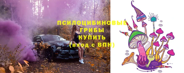 прущая мука Осинники