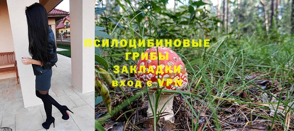 прущая мука Осинники