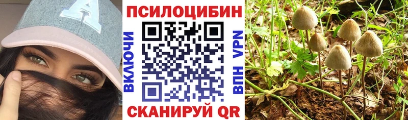 Купить закладки  Сарапул  Псилоцибиновые грибы ЛСД 